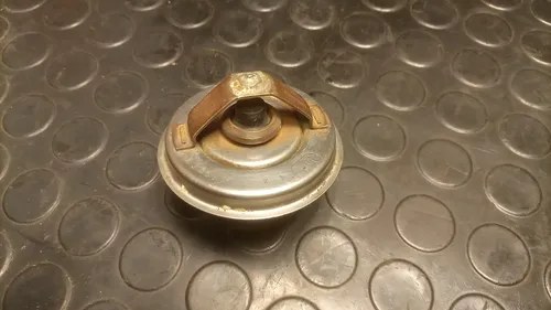 Termostato Thomson Made In Germany - 10