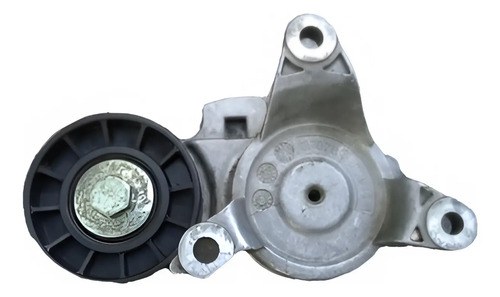 Tensor Correa Poli V Peugeot 307 / C4 2.0 (rosca Falseada)