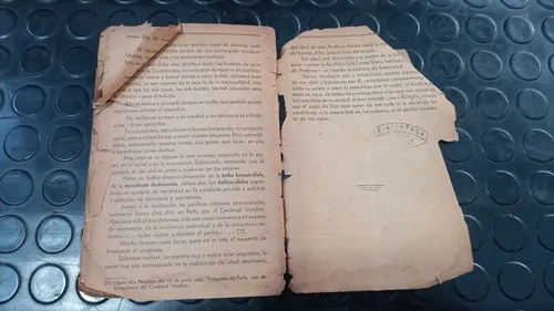 Las Razas. Algunos Aspectos Del Problema - Amadeo, Tomás - 8