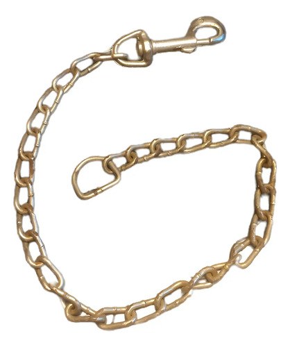 Cadena Pasea Perros Plateado