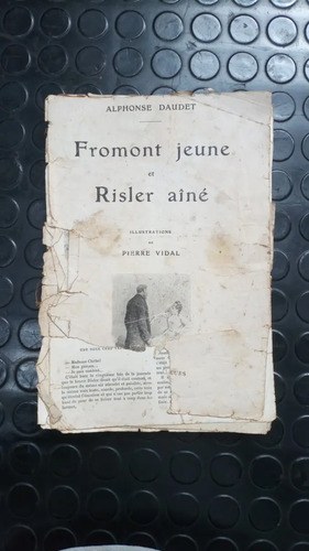 Fromont Jeune Et Risler Aîné - Alphonse Daudet