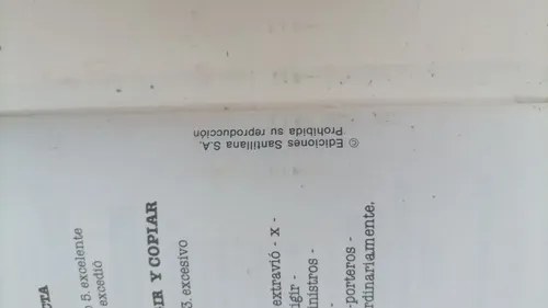 El Puente De La Ortografía 7 - Santillana - 7