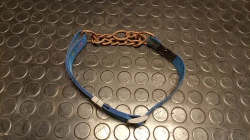 Collar Semiahorque Para Perros Azul Collar Semiahorque Para Perros