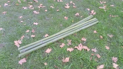 Tutor Caña Bambú 90cm De Largo Y 3cm A 4cm Diámetro - 3