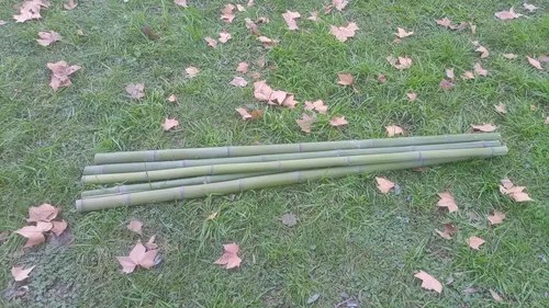 Tutor Caña Bambú 120cm De Largo Y 3cm A 4cm Diámetro - 2