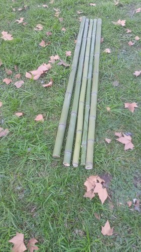 Tutor Caña Bambú 120cm De Largo Y 3cm A 4cm Diámetro - 8