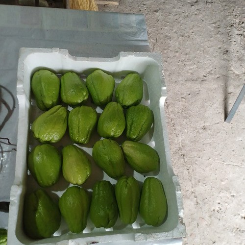 Papa Del Aire, Chayote., Yuyu - 3
