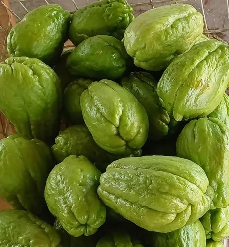 Yuyu, Papa Del Aire, Chayote - 6