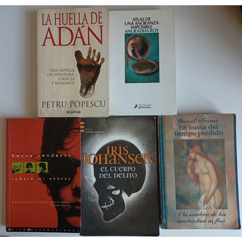 Lote 34 libros de ficción - novelas - Ideal manteros, feriantes o libreros de usados