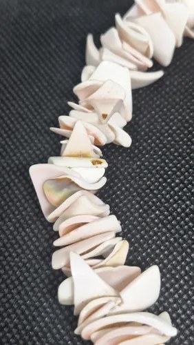 Collar De Nacar - Caracoles Del Pacifico Rosa - 7