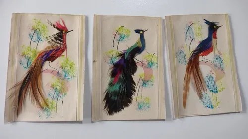 3 Tarjetas Collage Plumas Aves Consultar Stock