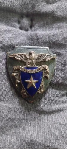 Antigua Medalla Broche Club Alpino Italiana Consultar Stock