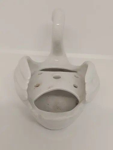 Cisne Porcelana Alemán Alka Bavaria Consultar Stock Blanco - 3