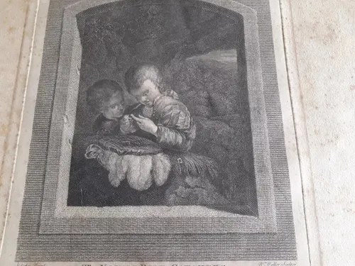 Grabado Niños Cazadores Aves 1768 W. Walker Consultar Stock - 5