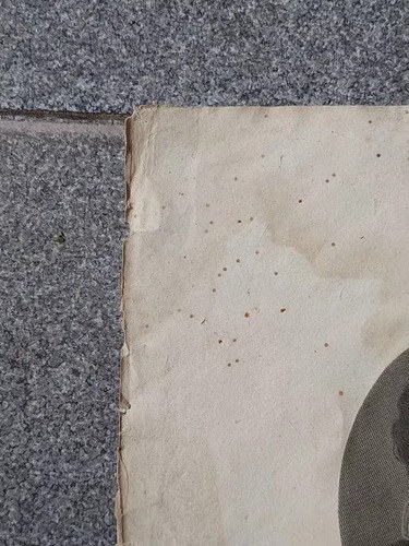 Grabado Poeta Torquato Tasso Años 1800 Consultar Stock - 2