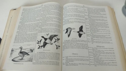 Libro Sportsman Encyclop Burton Año 1971 Consultar Stock - 5