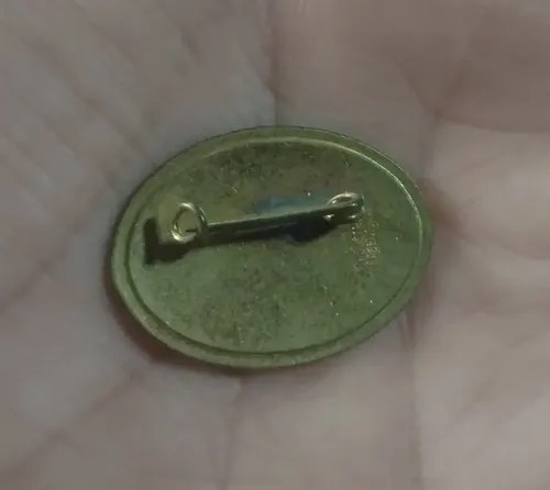 Pin Broche Colecc Jawa Consultar Stock - 3