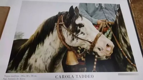 Poster Caballo Carolina Taddeo Impresion Consultar Stock