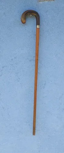 Viejo Bastón Asta Con Madera Malaca Consultar Stock Marrón - 4