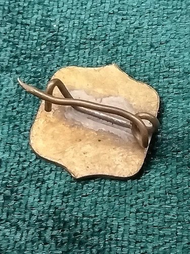 Viejo Pin, Broche Leguan Cívica Argentina Consultar Stock - 3