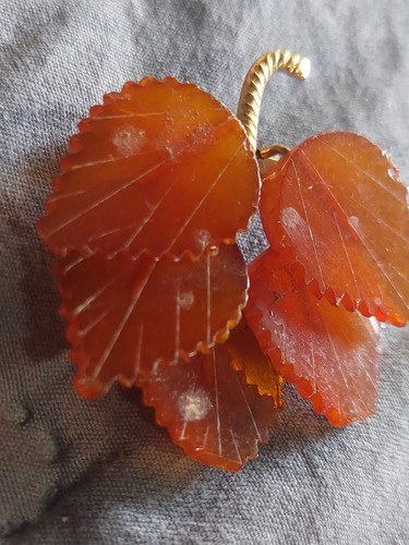Viejo Prendedor Broche Hojas Ámbar Ruso Consultar Stock Naranja Oscuro - 2