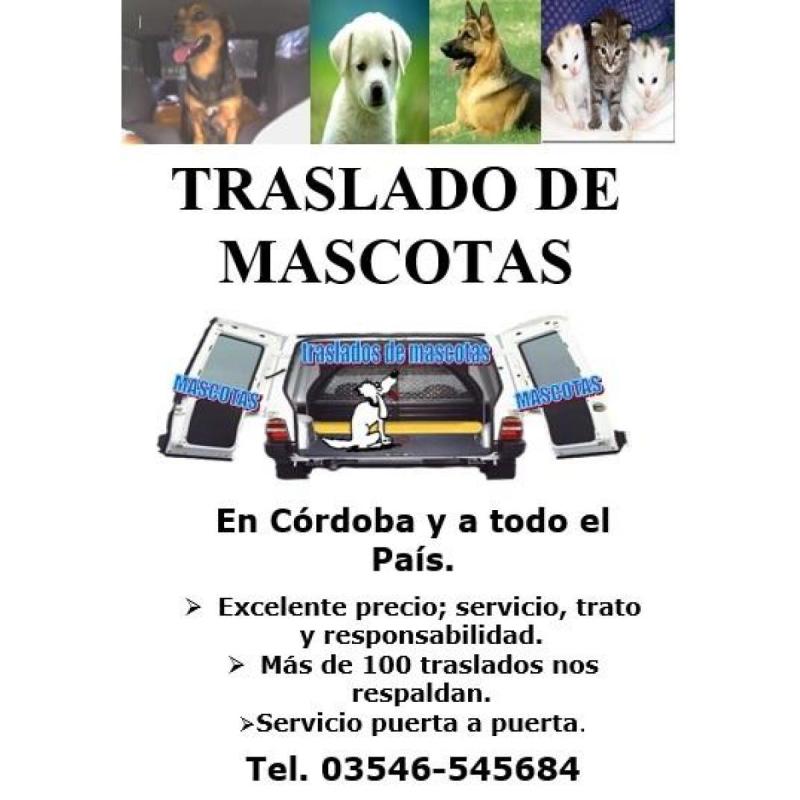 traslados de mascotas en córdoba ya todo el Pais