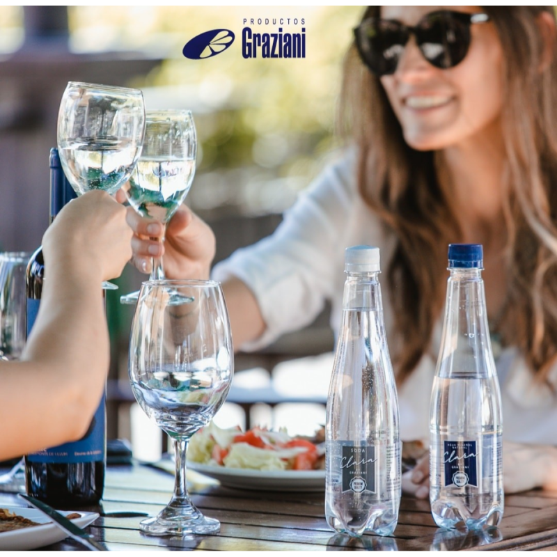 Agua Mineral Natural Premium x 500 Envio gratis en CABA - 2