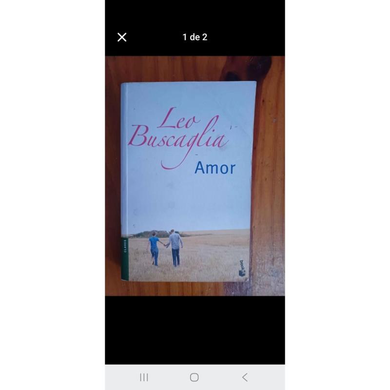 Un Libro Amor usado