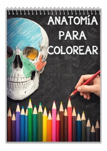 Anatomía Para Colorear Cuaderno De Espiral Ambi Color Anatomía