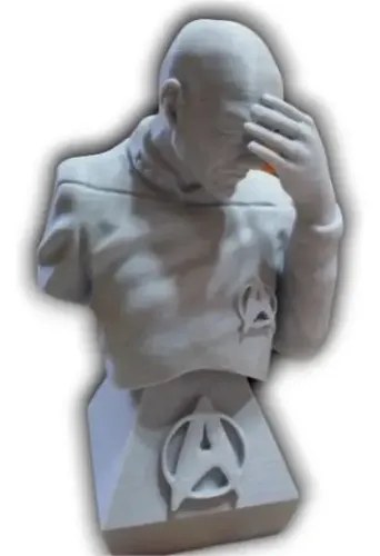 Figura Cap Picard Meme Pintar Ideal Hobbistas Y Artistas