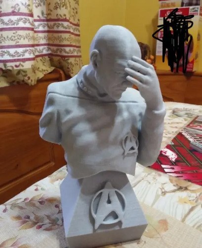 Figura Cap Picard Meme Pintar Ideal Hobbistas Y Artistas - 2