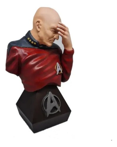 Figura Cap Picard Meme Pintar Ideal Hobbistas Y Artistas - 3