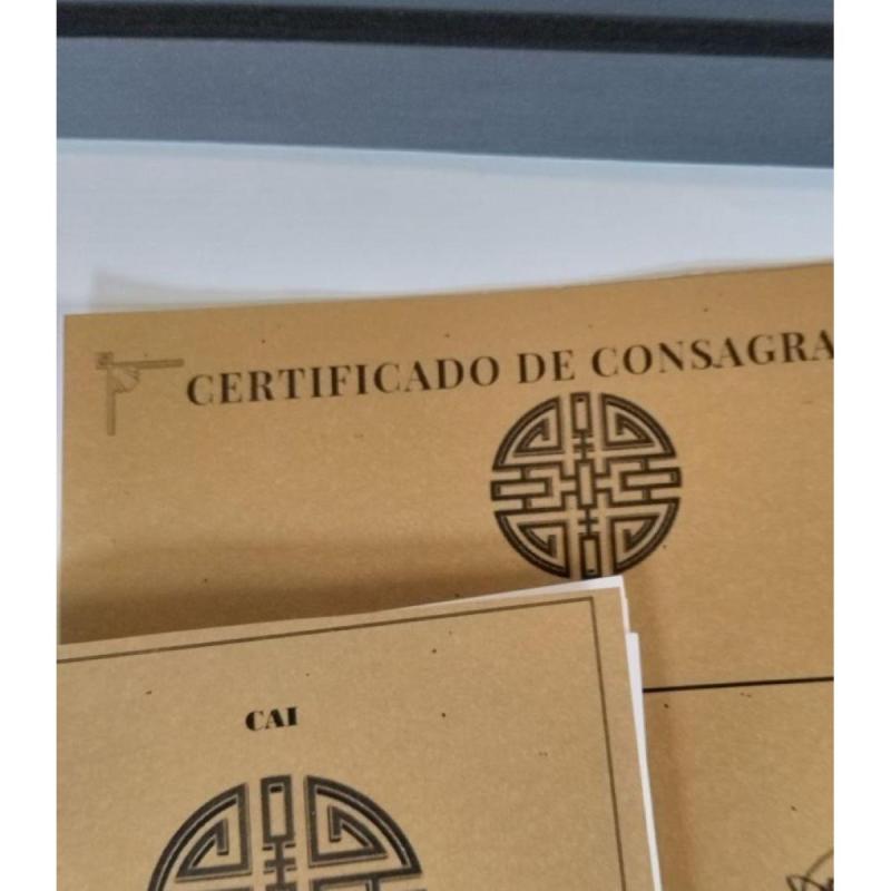Cuadro Cai Para Atraer Prosperidad, Con Manual Y Certificado - 3