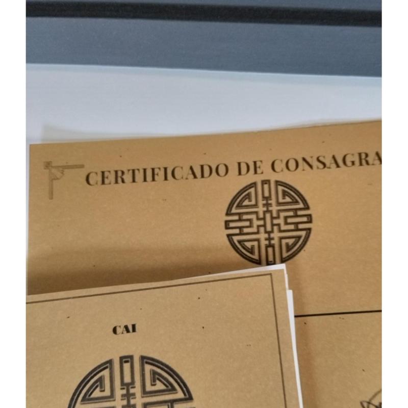 Cuadro Cai Para Atraer Prosperidad, Con Manual Y Certificado - 10