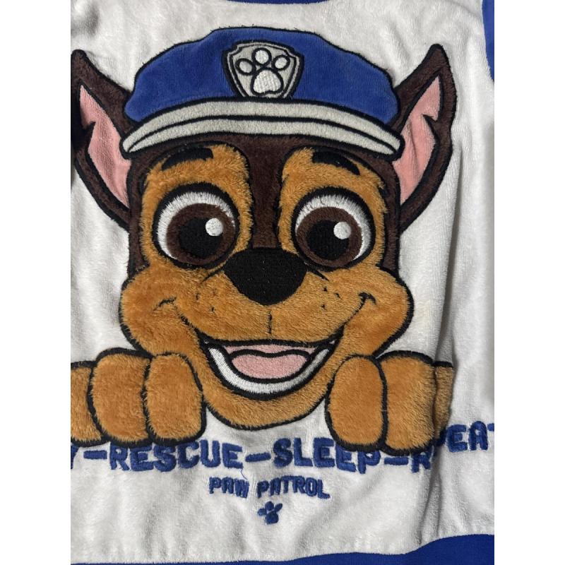 Buzo Paw Patrol