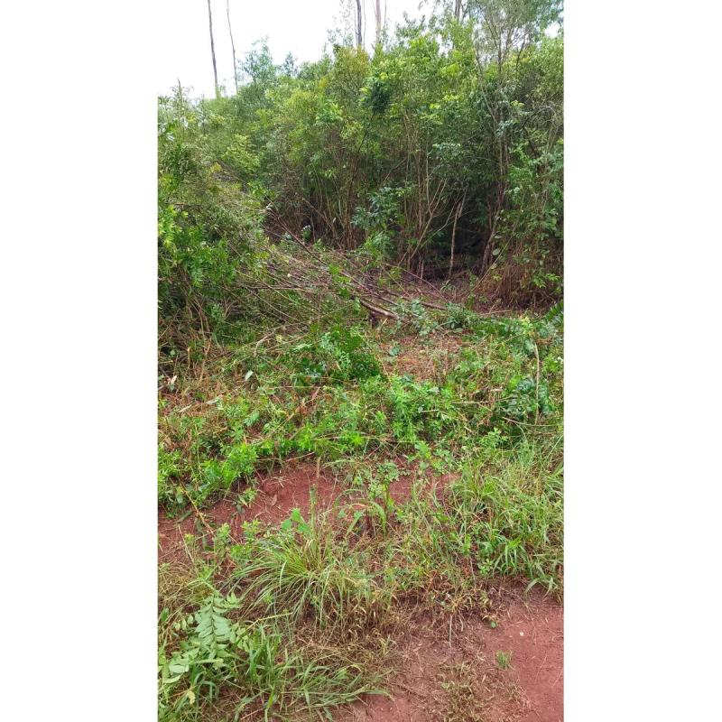 Terreno o lote en venta en Capo viera