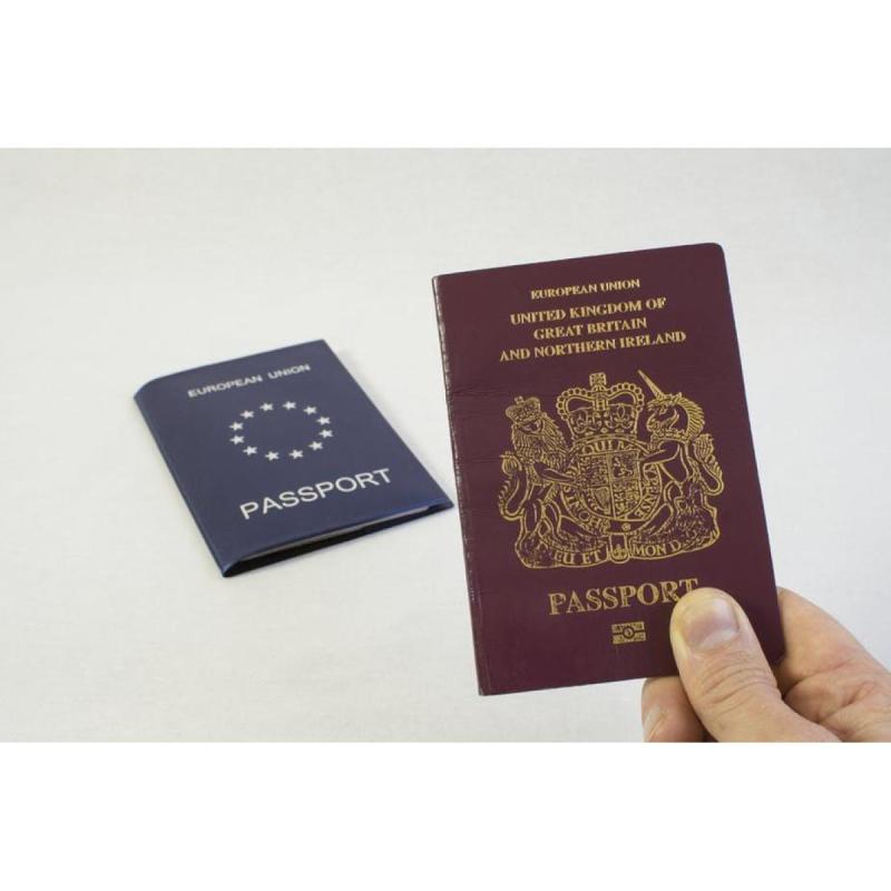 Traducciones Públicas Español ↔ Inglés (Matriculada CTPCBA) - 2