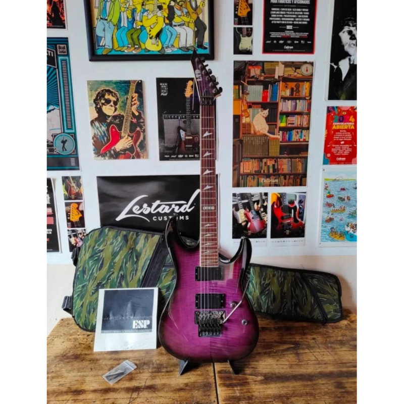 Guitarra electrica LTD by ESP