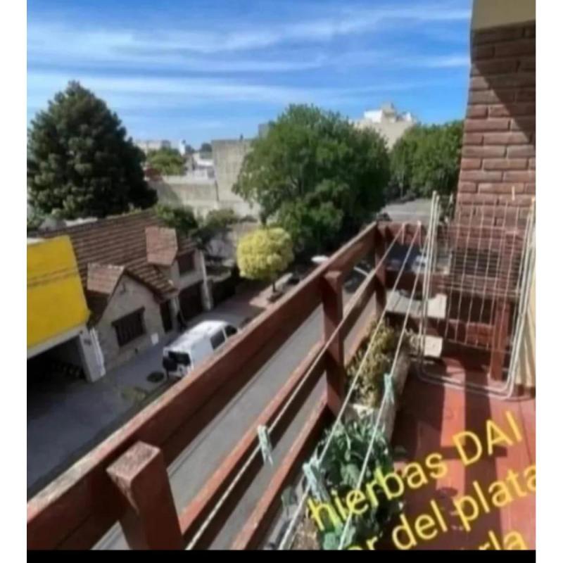 DEPTO 3 AMB, TEMPORADA, MAR DEL PLATA, LA PERLA X FLIAS 6/8PERS-CENTRO
