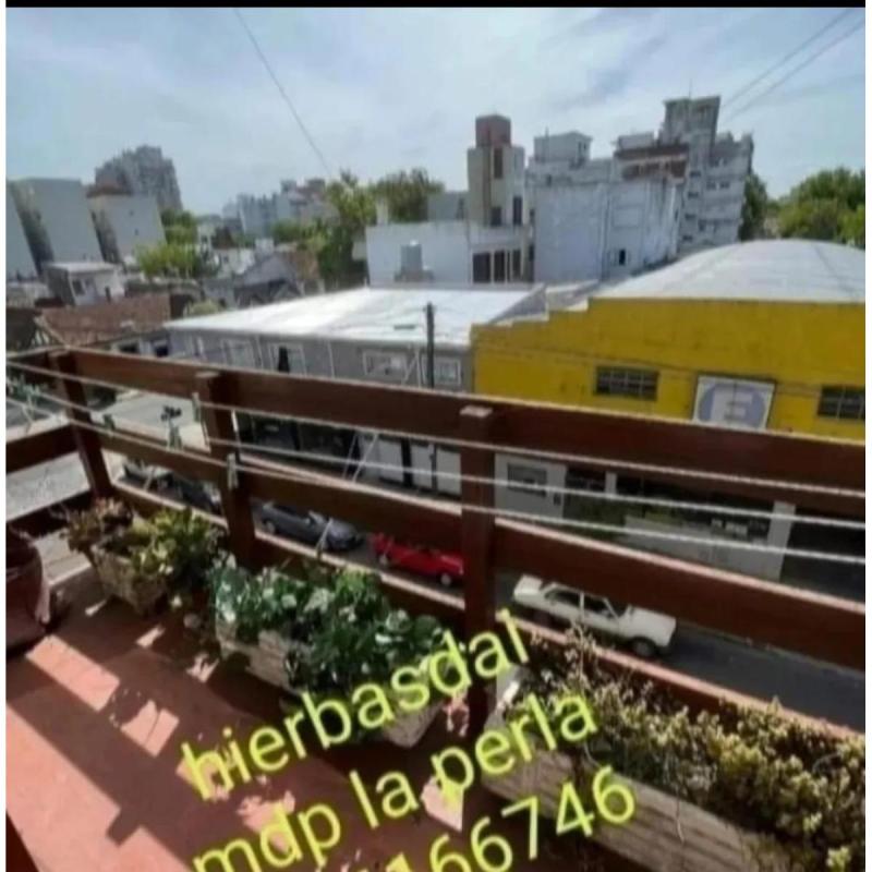 DEPTO 3 AMB, TEMPORADA, MAR DEL PLATA, LA PERLA X FLIAS 6/8PERS-CENTRO - 2
