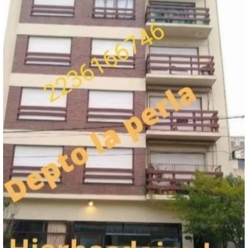 DEPTO 3 AMB, TEMPORADA, MAR DEL PLATA, LA PERLA X FLIAS 6/8PERS-CENTRO - 16