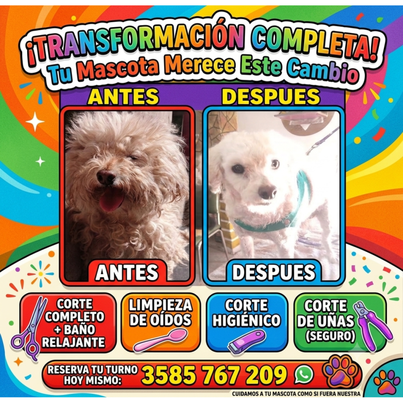 PELUQUERIA CANINA RIO CUARTO