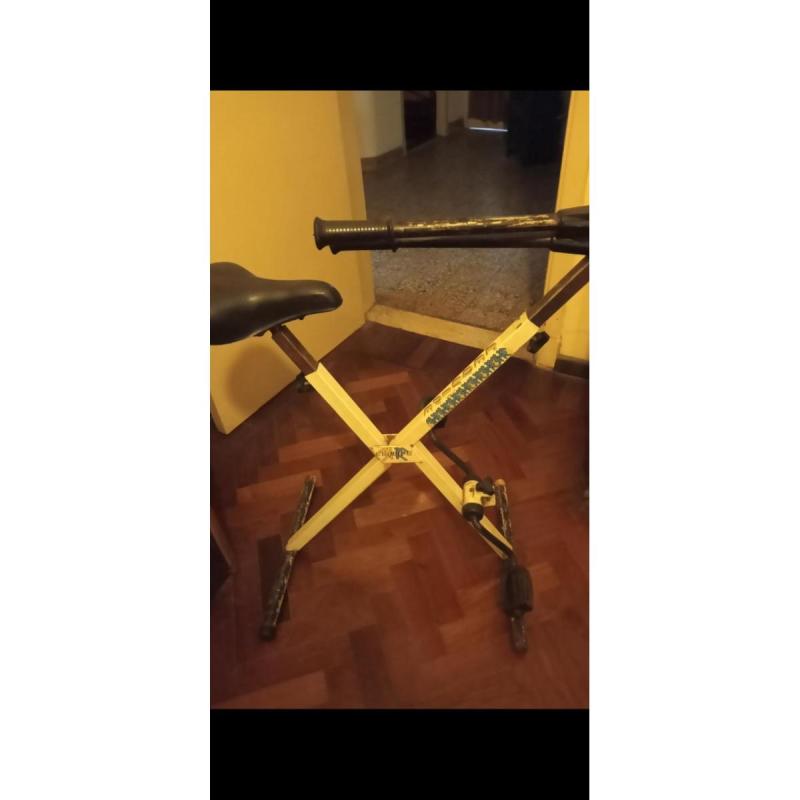 Bicicleta fija plegable con remo