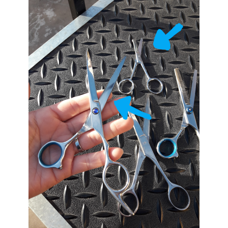 Tijeras Peluquería Canina