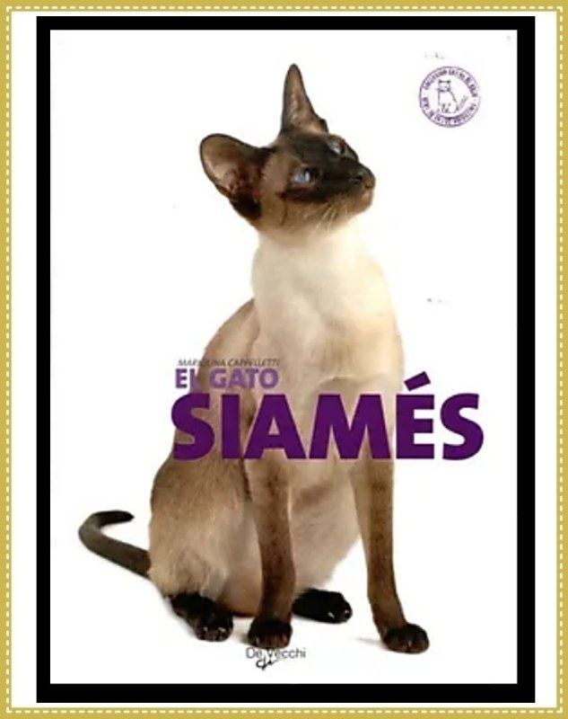 El gato siamés. Colección gatos de raza de Mariolina Cappelletti