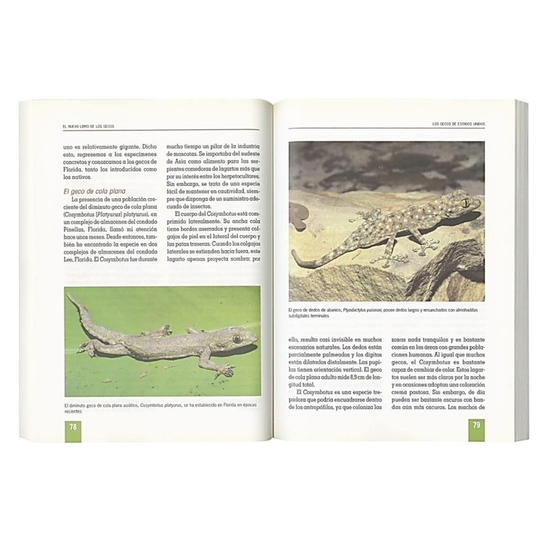El nuevo libro de los Gecos - 3