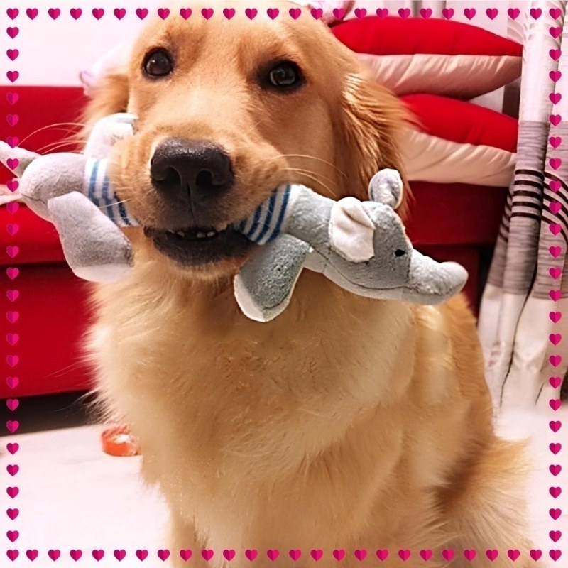 Juguete para perros de todos los tamaños. Muñeco de plush con chifle. - 9