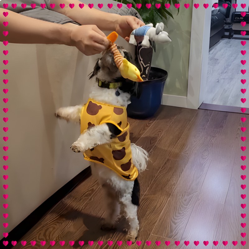 Juguete para perros de todos los tamaños. Muñeco de plush con chifle. - 11