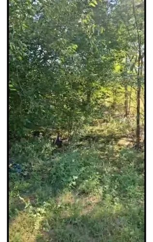 Oportunidad Imperdible Terreno En Bialet Massé A Pasos Del Rio - 2