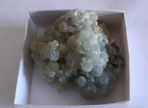 Prenhita, Excelente Especimen, Marruecos Verde - 2